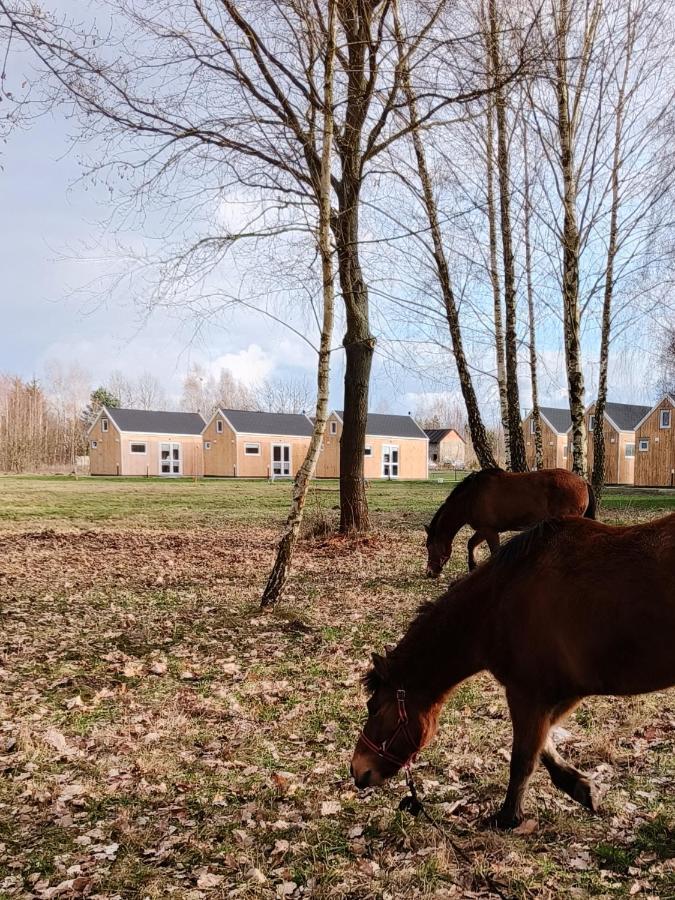 Zagajnik Country Camp Obok Suntago Villa Grabce-Towarzystwo Екстериор снимка
